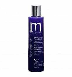 Sortie ❤️ Shampooing Repigmentant Colorant Terre Bleue Patrice Mulato 200ml 🎉